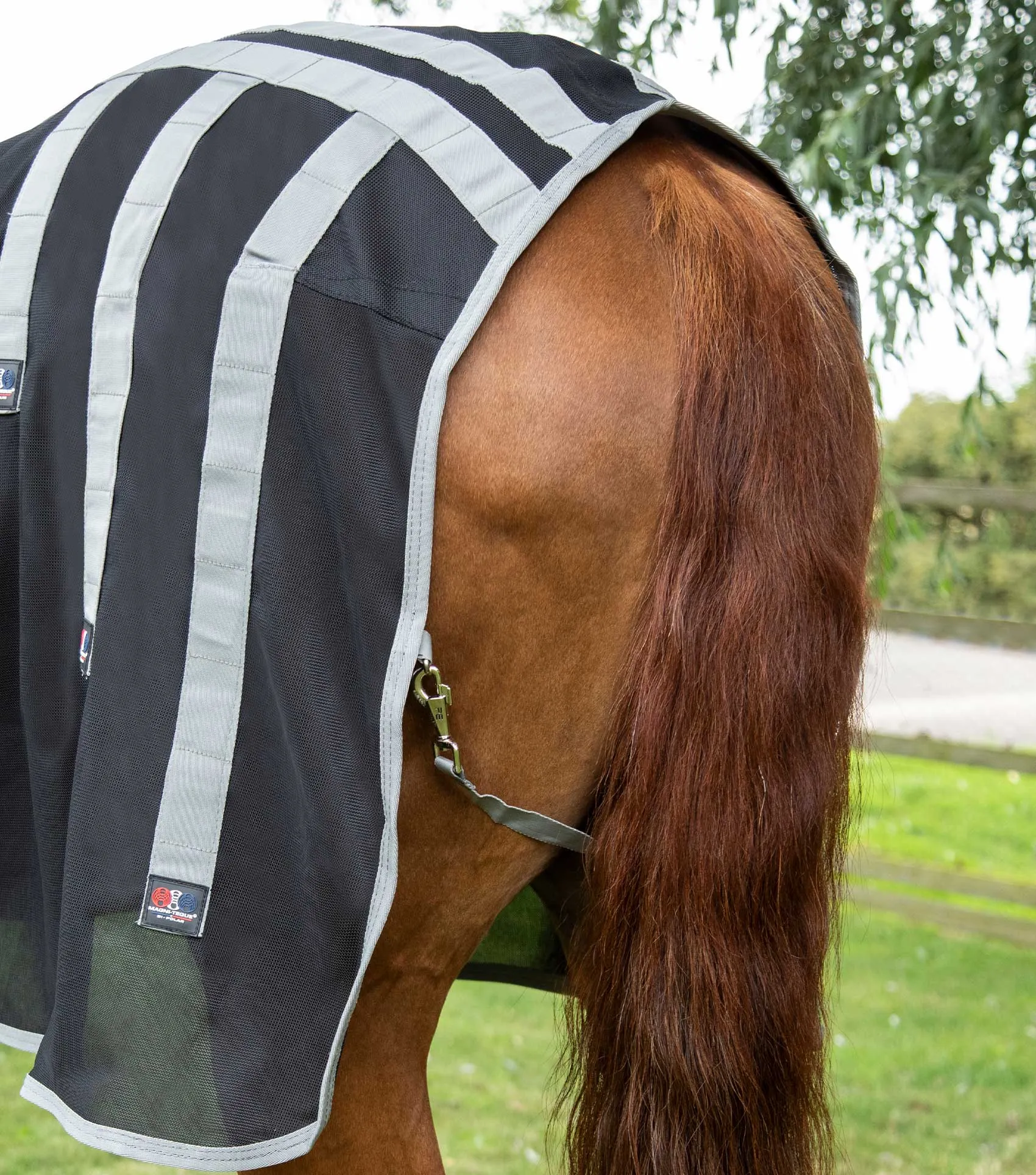 Magni-Teque Magnetic Horse Rug with Neck Cover