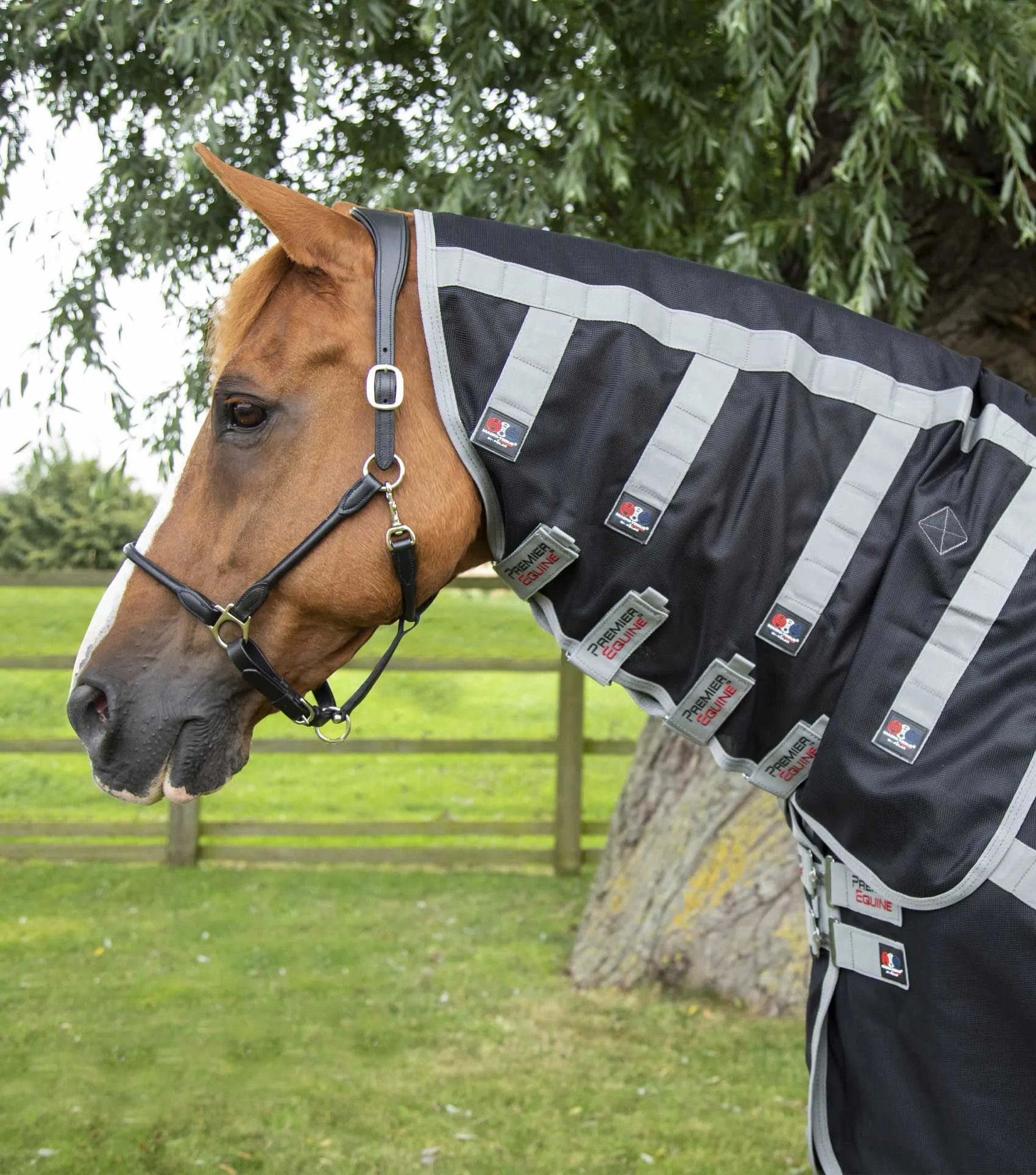Magni-Teque Magnetic Horse Rug with Neck Cover