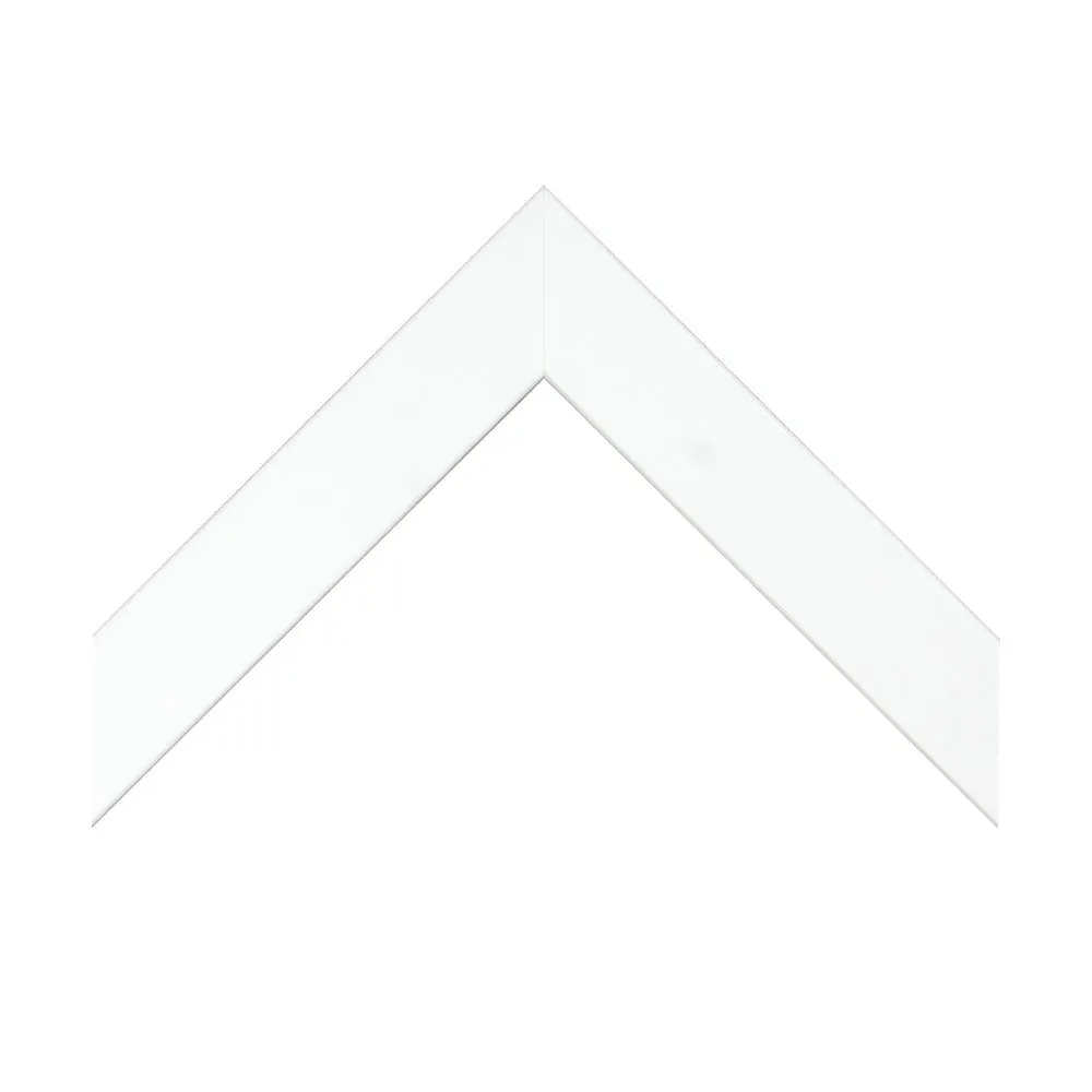 Sports Ball Border II Black